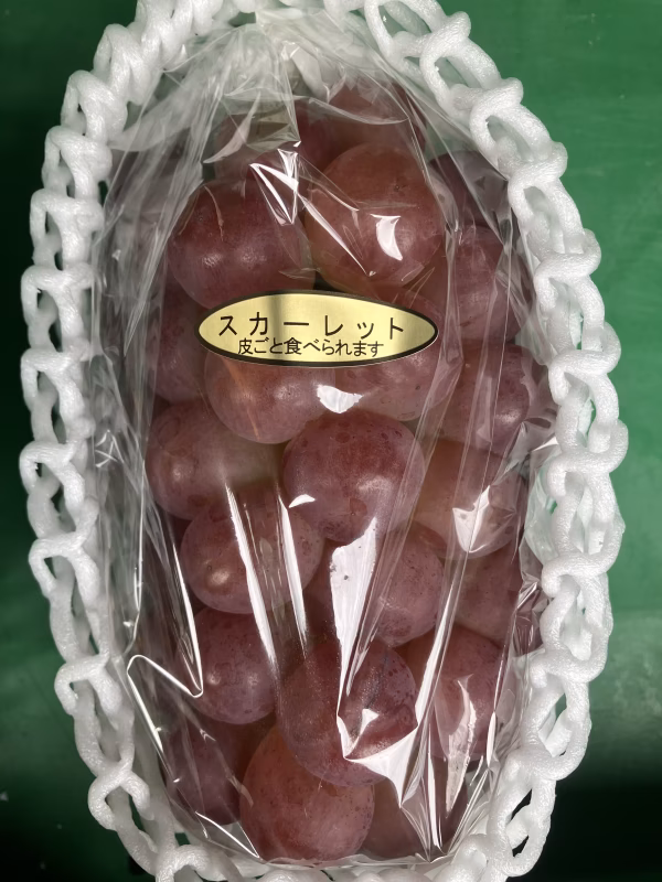 超特大房　新品種スカーレット1キロ房　レッドシャインマスカット