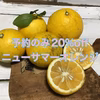 【予約品は20%オフ】５月中旬お届け予定！ニューサマーオレンジ