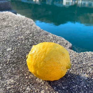 訳あり! ワックス/防腐剤不使用ジューシー香り抜群！レモン