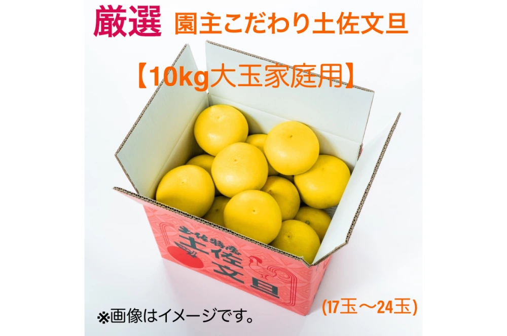  【新発売】【No.3おすすめ】 厳選 園主こだわり土佐文旦10kg大玉【家庭用