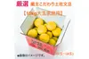  【新発売】【No.3おすすめ】 厳選 園主こだわり土佐文旦10kg大玉【家庭用