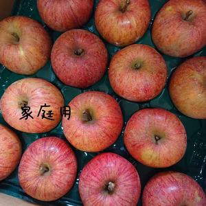 長野県産 サンふじ家庭用5㎏