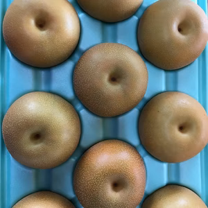 甘いのに後味サッパリ！ 【5L〜6L】あきづき梨 