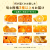 柑橘詰合せ（ご自宅用）