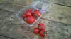 【自社育種】【糖度10～12度】八ヶ岳フルーツトマト