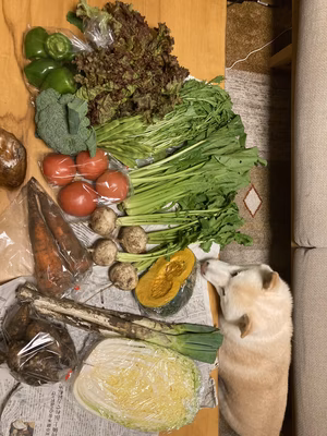 みんなの投稿の画像