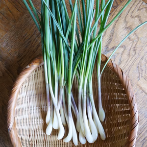 辛くなくて、旨い・甘い。しんしん農園　減農薬　エシャレット　20本程度