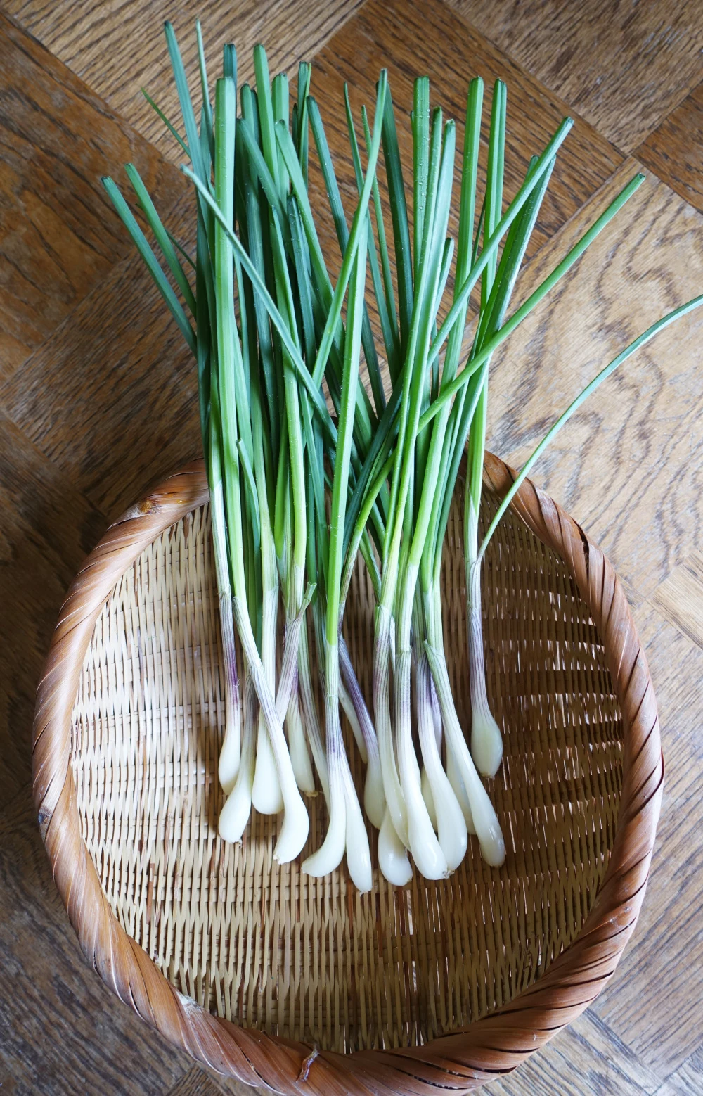 辛くなくて、旨い・甘い。しんしん農園　減農薬　エシャレット　20本程度