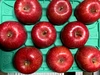 ～青森りんごを直送～5キロ・１０キロセット蜜入り完熟サンふじ』【特秀　贈答向け】