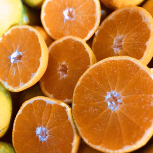 毎日食べたくなる懐かしい味【テキーラみかん】小粒B品訳あり