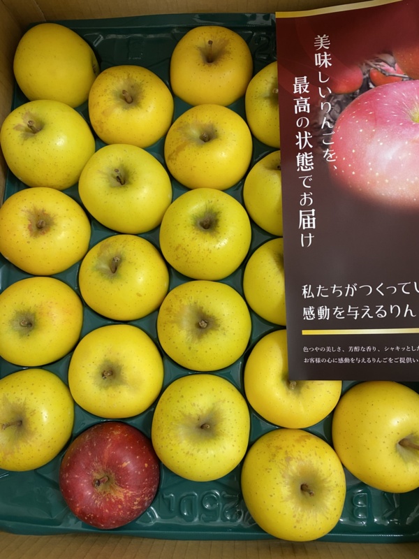 日本初の公式オンライン りんごりん　様専用 その他