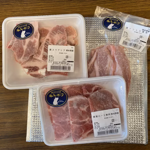 【定期便】香心ポークお楽しみセット（3パック~）