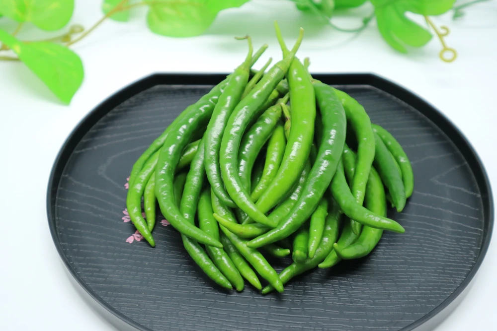今だけ！！！期間限定！！生激辛青唐辛子　（700g）