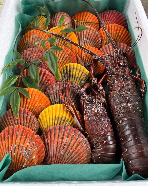 ✨旨味濃厚ヒオウギ貝と伊勢海老セット✨