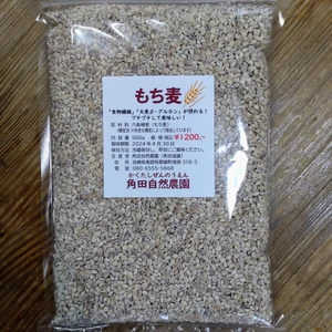 もち麦(精麦）250g/500g/注文g