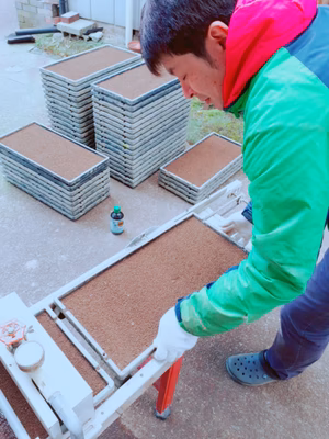 みんなの投稿の画像