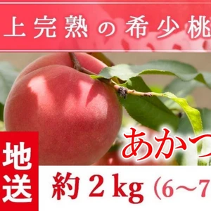 福島県産の桃　朝採りもぎたて完熟あかつき 阿部農縁 もも モモ ギフト・贈答用