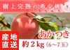 福島県産の桃　朝採りもぎたて完熟あかつき 阿部農縁 もも モモ ギフト・贈答用