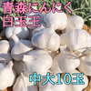 【ラスト1箱】まるでお芋‼️青森にんにく『白玉王』1キロ（大中サイズ混合）