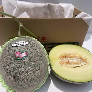 【じゅわ】甘い肥後グリーンメロン2玉　6月中旬〜