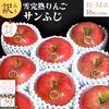 糖度１3%以上保証蜜入り雪完熟家庭用サンふじ１６個～１８個入り約5kg