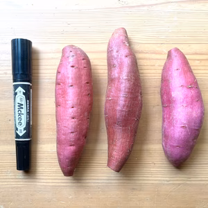 ちょっとちびサイズだけど、しっとり甘い「シルクスイート」 2キロ