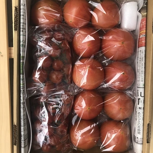ミニトマトセット(大玉SM、青ちぎり入り) 2kg