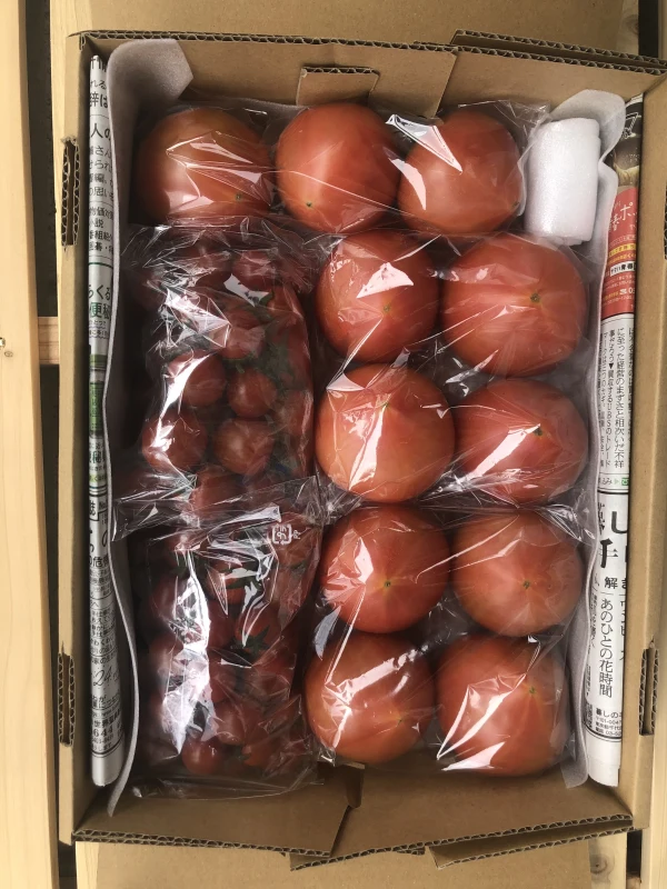 ミニトマトセット(大玉SM) 2kg｜トマトの商品詳細｜ポケットマルシェ