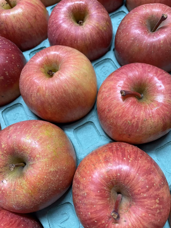 【青森県産】葉取らずサンふじりんご10キロ32個入