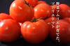 受賞歴３回！ソムリエトマト２.６kg（１２玉～２０玉)