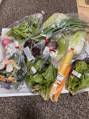 みんなの投稿の画像