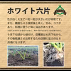 青森県産にんにく バラ ホワイト六片 にんにく農園が育てた「こだわりの品質」