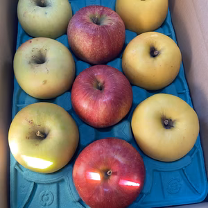 家庭用りんご3種詰め合わせ