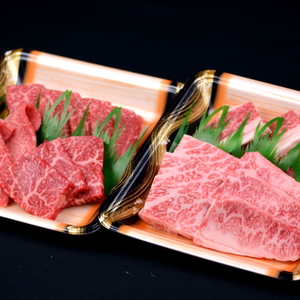 【肉質日本一】鳥取和牛カルビと赤身の焼肉盛り合わせ2～3人前　おうち焼肉　BBQ