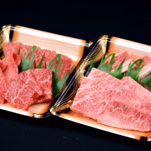 【肉質日本一】鳥取和牛カルビと赤身の焼肉盛り合わせ2～3人前　おうち焼肉　BBQ