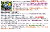 冷凍果実1Kg：ラビットアイ系(250gパック x 4)