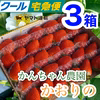 3箱【クール】【複数割】初物いちご