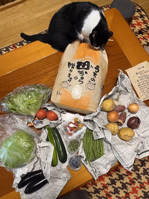 みんなの投稿の画像