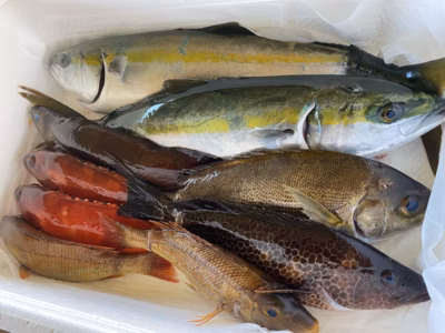 みんなの投稿の画像