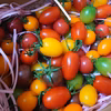 彩り華やか！畑の宝石箱。色んな味、食感を体験！