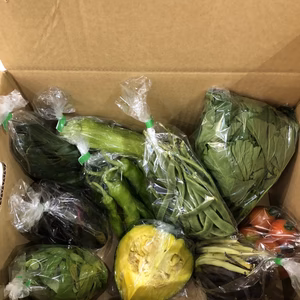 季節路地野菜おまかせセット