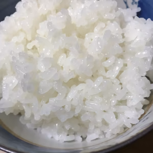 新米7年産コシヒカリお試し量