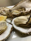 広島かき　殻付き牡蠣　半缶　カンカン焼き 25個入