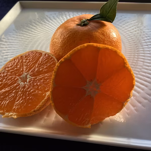 発祥の地倉橋から石積み段々畑の　石地みかん1.5kg～！みかん好きレア品種