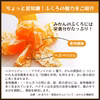 蔵出しみかん丹生系｜風味の良い晩生みかんの希少品種