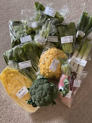 みんなの投稿の画像