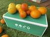 【オーガニックな宝石箱！！】柑橘農家オススメ 3種　お試しBOX 約 3キロ