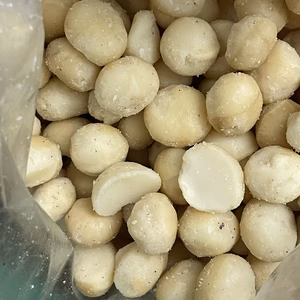 食用　マカデミアナッツ＆大豆　100g