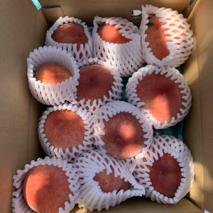 真っ赤になった完熟の高級品種加納岩白桃です❣️汁がしたたるジューシーさです。