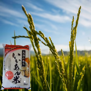 「はえぬき」白米 慣行栽培米 令和５年産 いいあん米 山形県庄内産